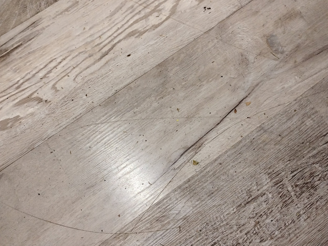 Rodeway Inn Port Richey North主图