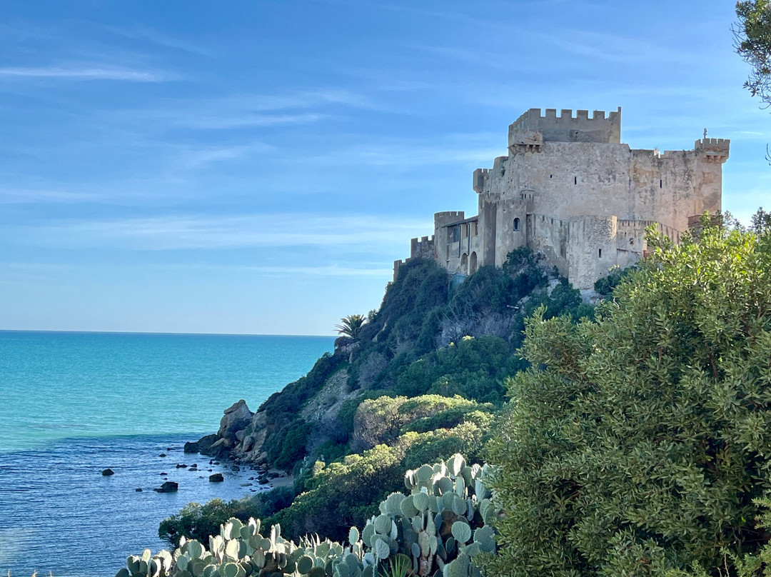 Castello di Falconara景点图片
