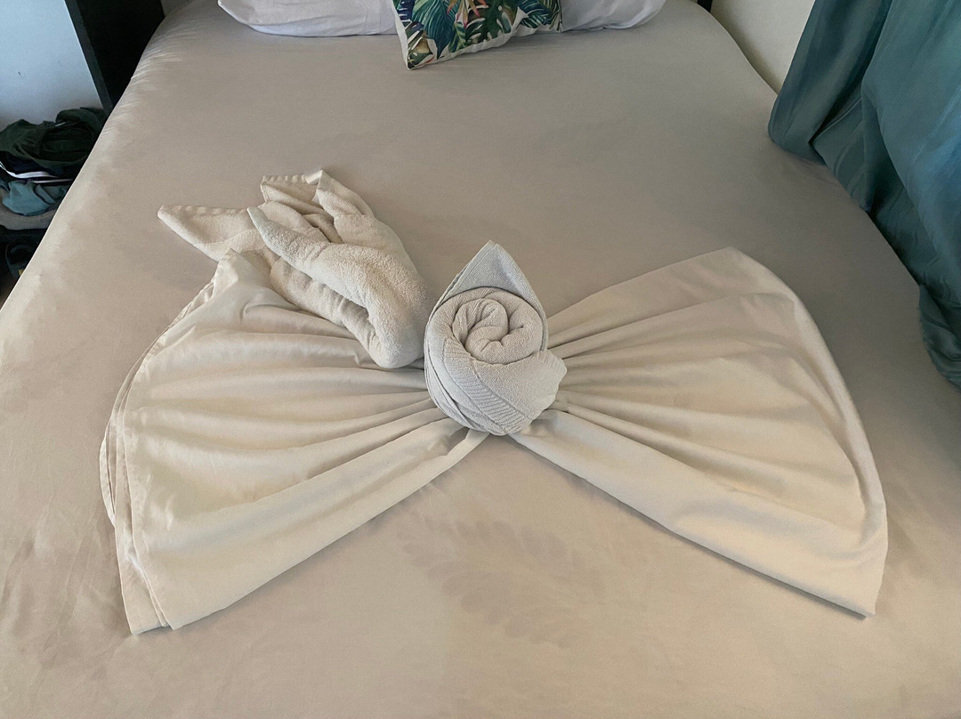 Hotel El Icaco Tortuguero主图