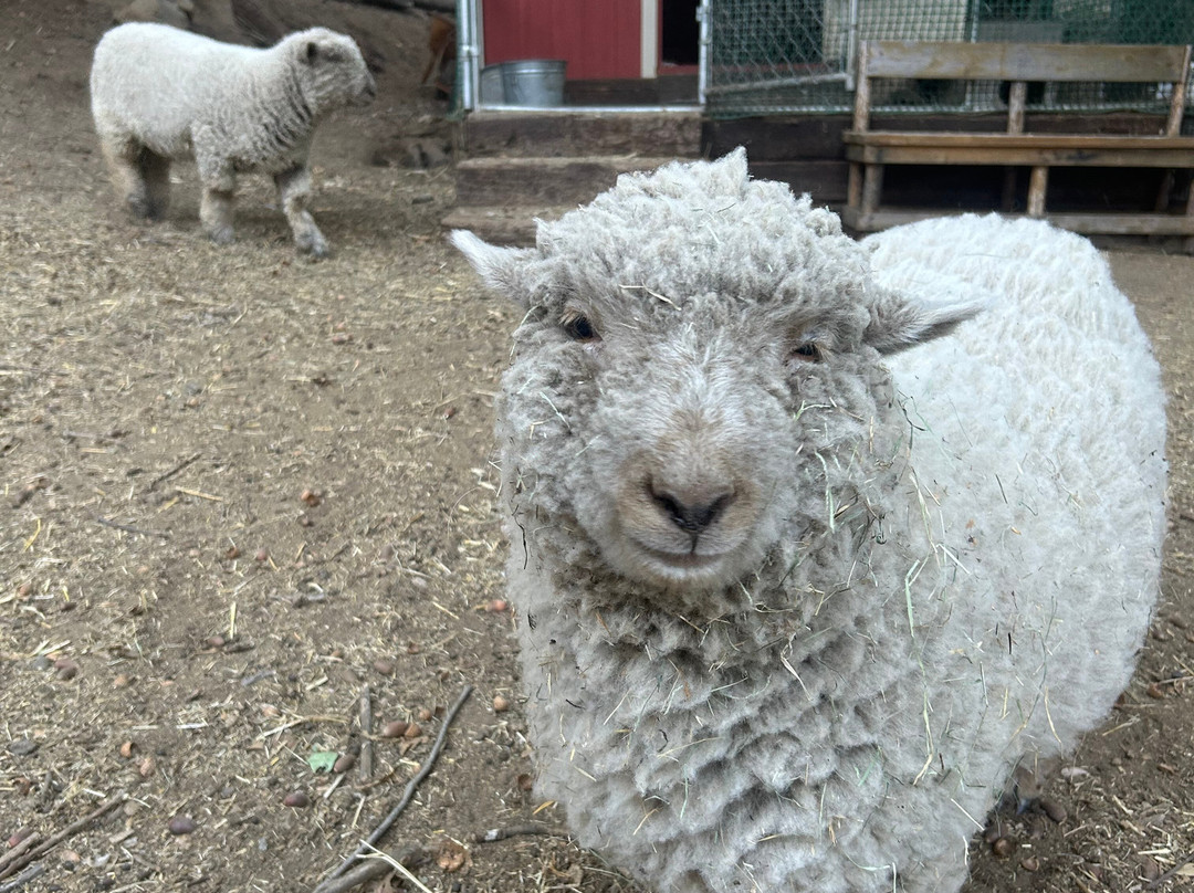 Bailey's on Palomar主图