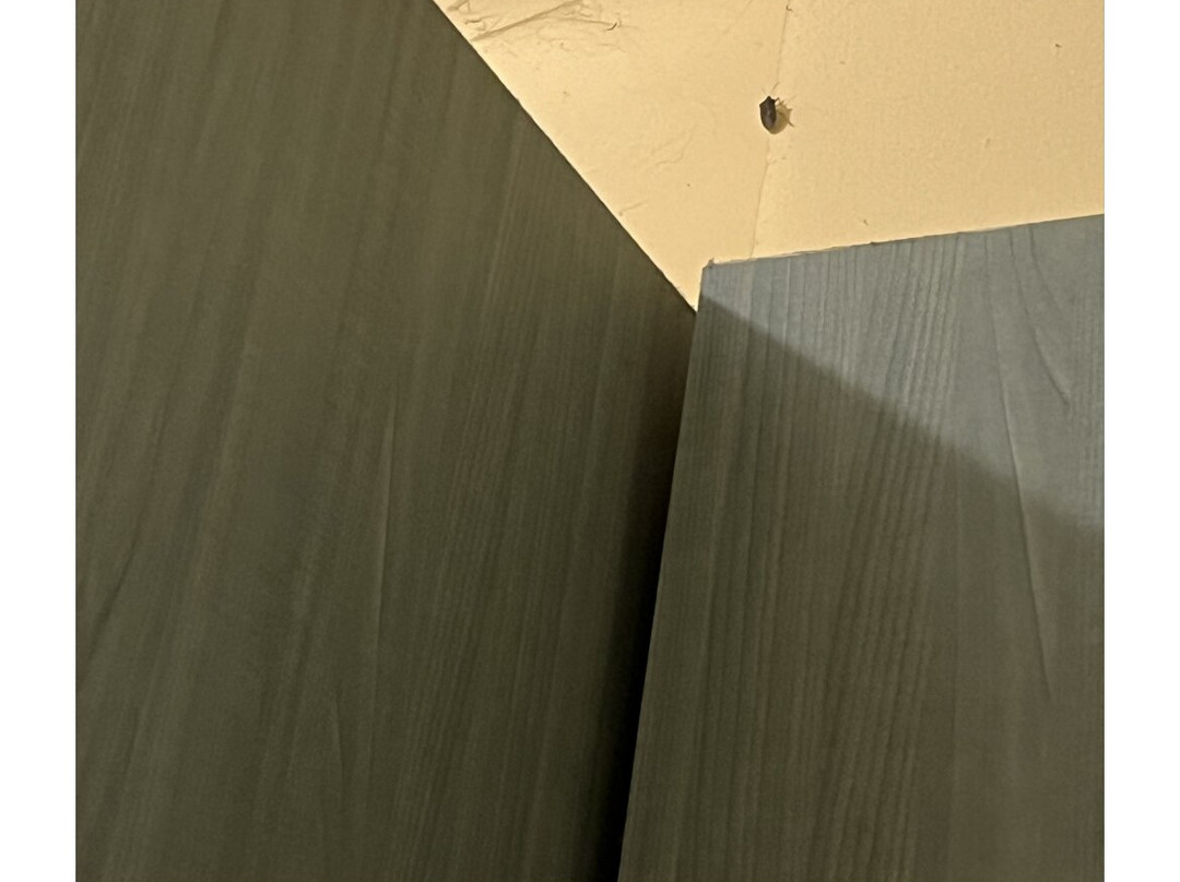 Hotel Europa主图