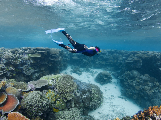 Pure Snorkelling-凯恩斯必去景点