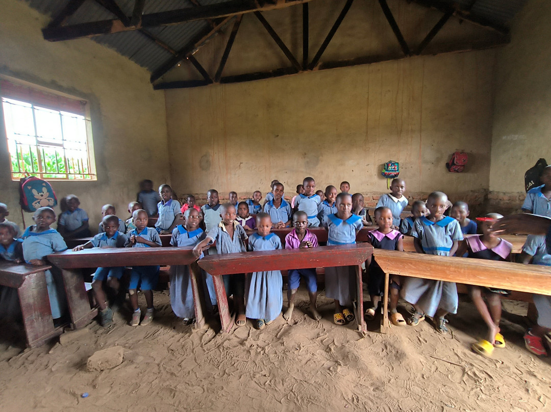 Jambo Eco Tours & Safaris-坎帕拉必去景点