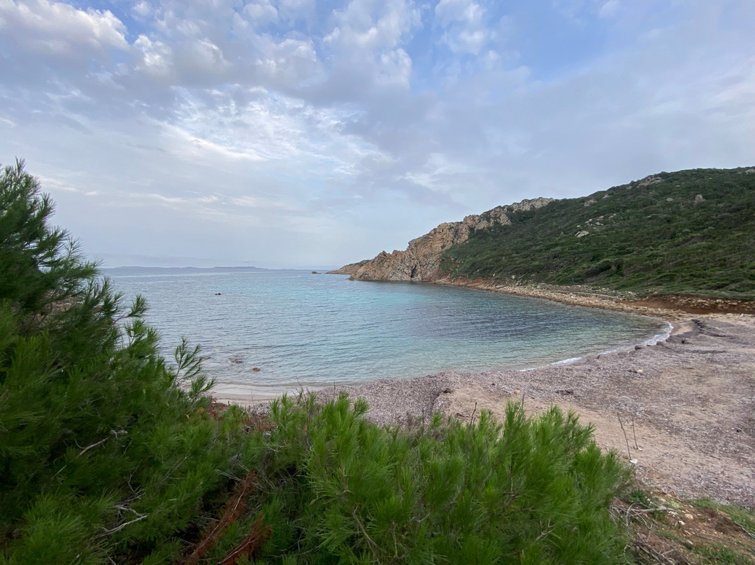 Spiaggia di Cala Sambuco-圣特雷莎加卢拉必去景点