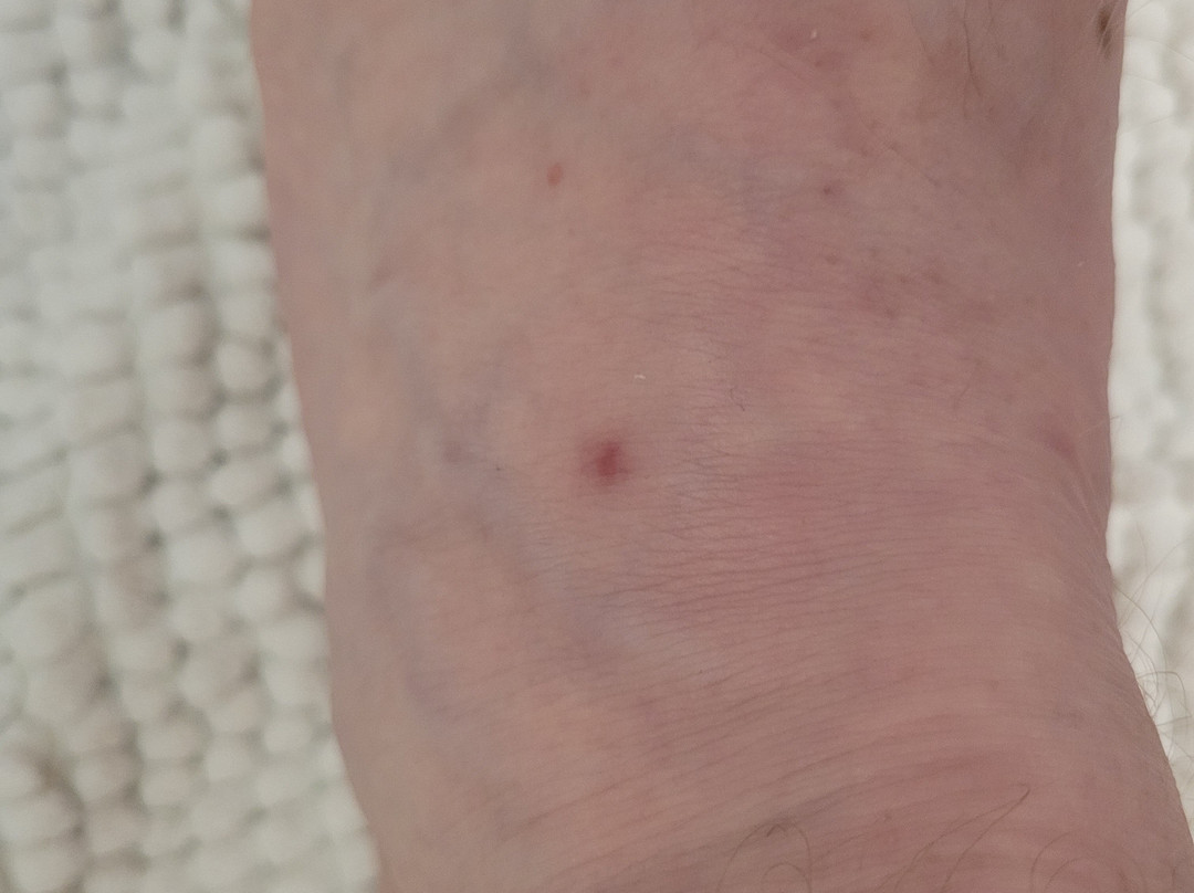 Days Inn By Wyndham Sudbury & Conference Centre主图