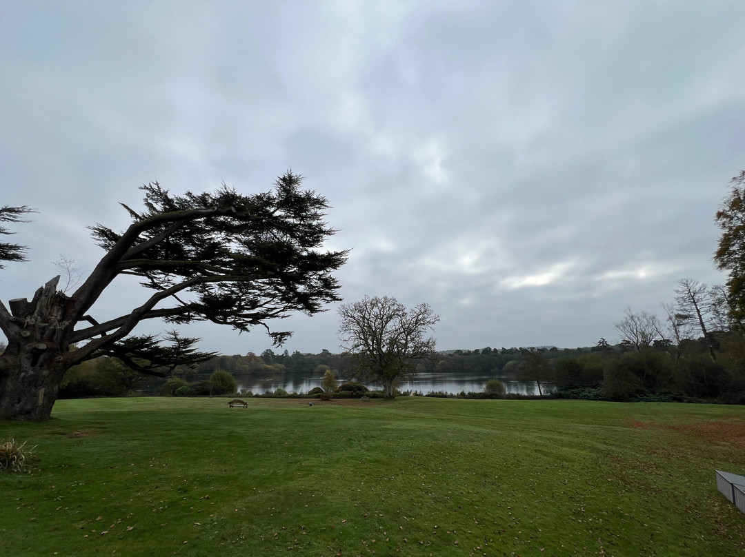 Champneys Health Spa景点图片