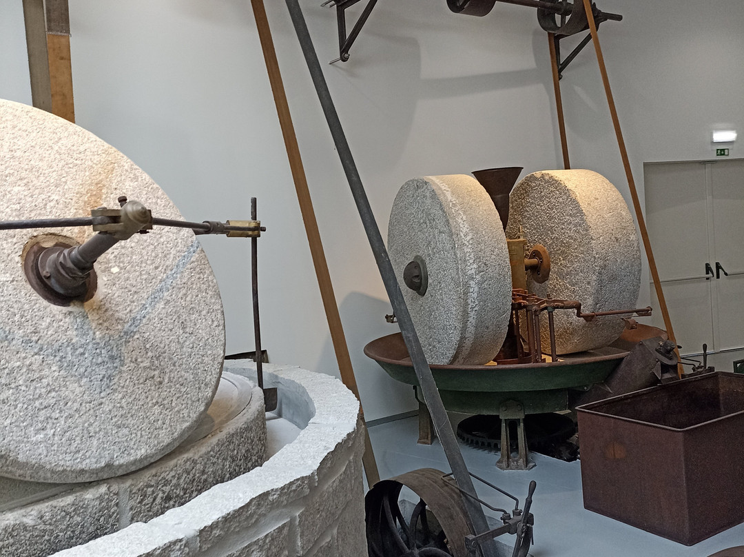 Museu do Azeite景点图片