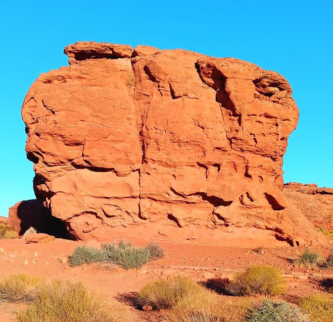 Pioneer Park-哈里肯必去景点