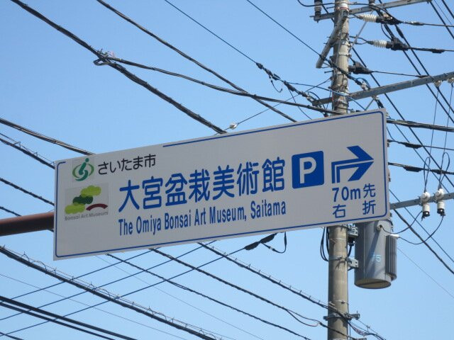 The Omiya Bonsai Art Museum Saitama景点图片