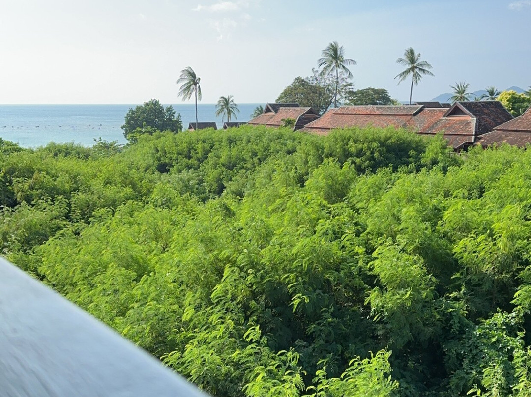 达拉苏梅海滩度假村-仅限大人主图