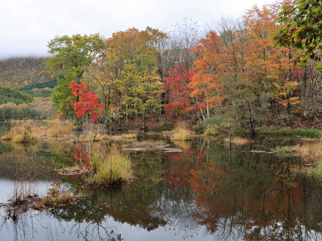 Kannonnuma Forest Park景点图片