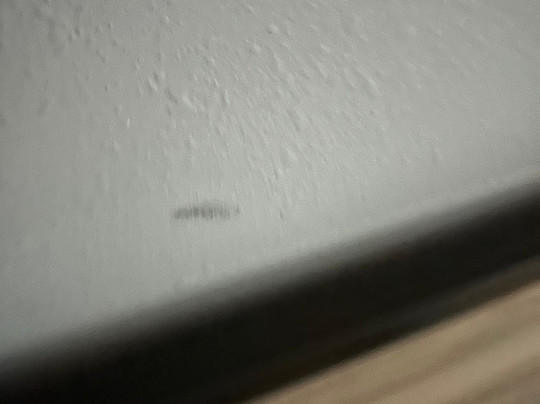 Tru by Hilton Knoxville West Turkey Creek主图