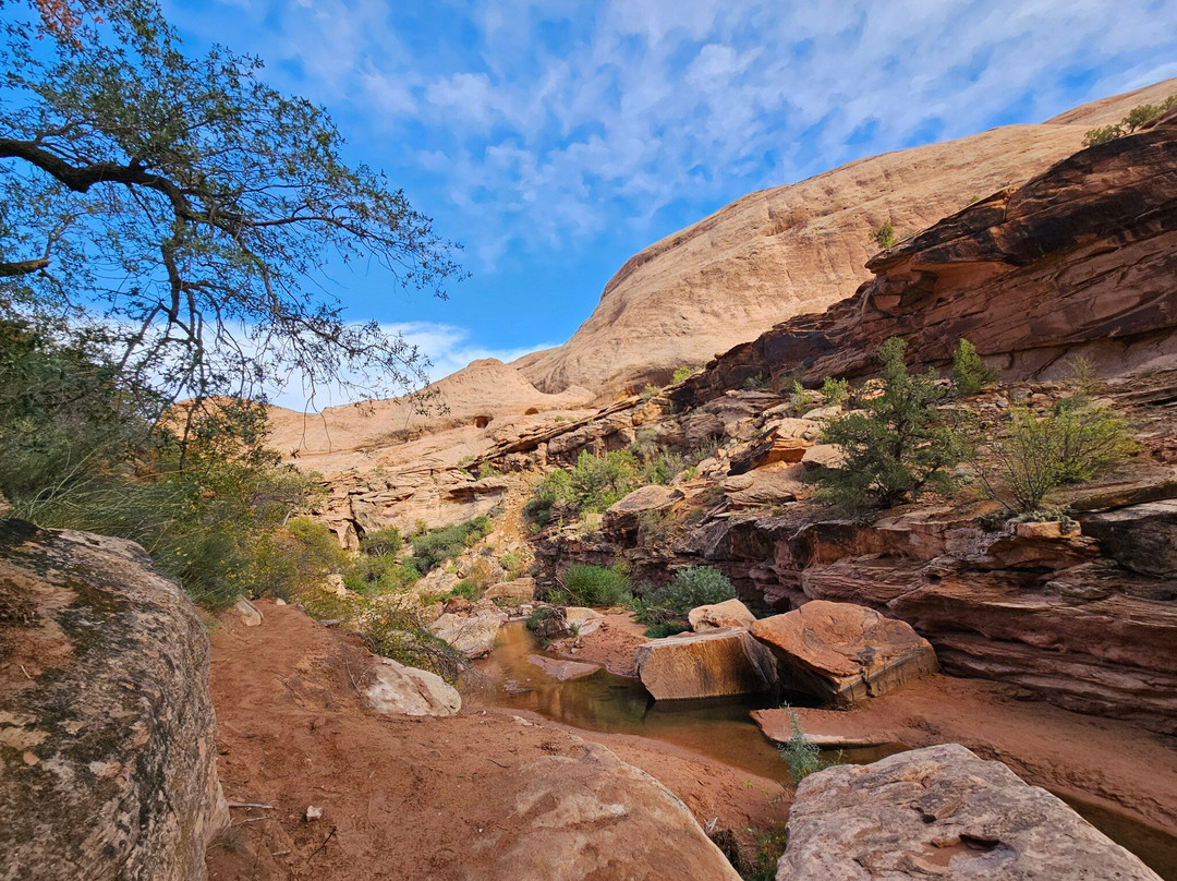 Grandstaff Canyon Trail-莫阿布必去景点