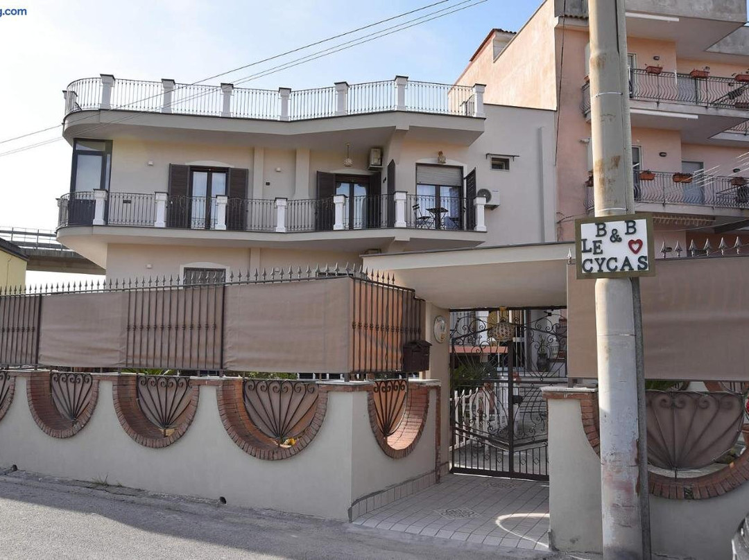 Santa Maria la Carita酒店住宿-B&B Le Cycas