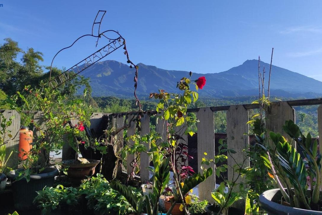 Tetebatu Terrace Homestay