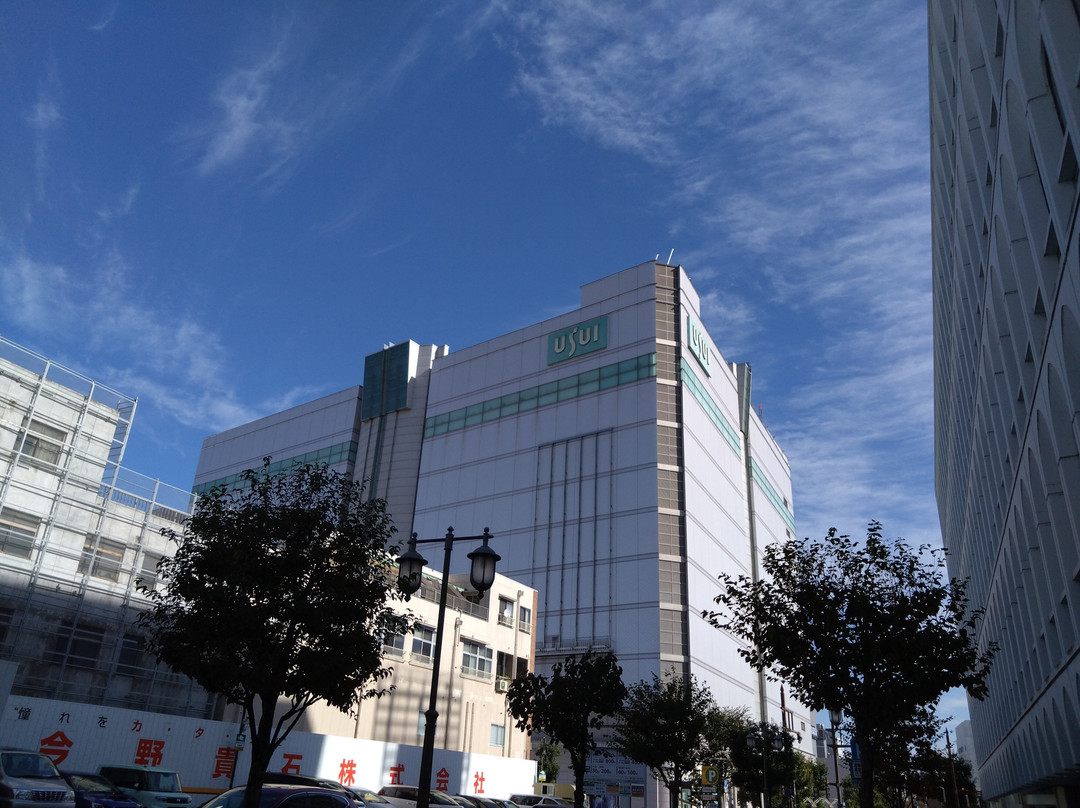 Usui Department Store-郡山市必去景点