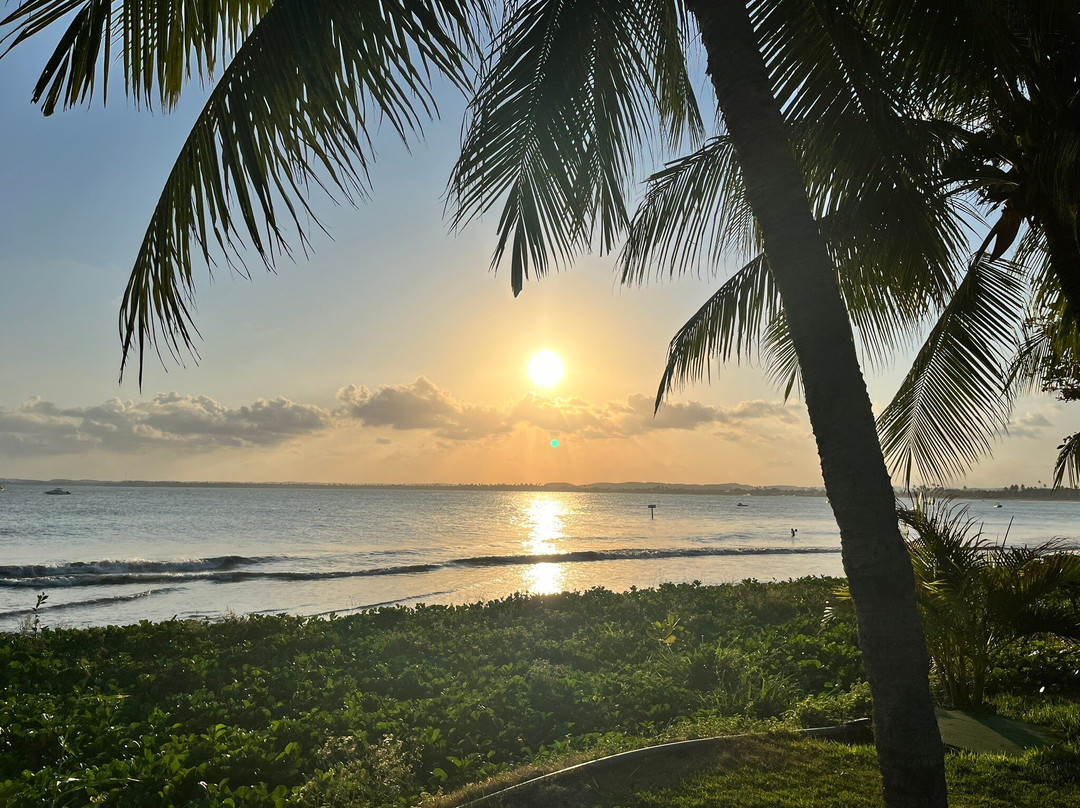 Serrambi Praia主图