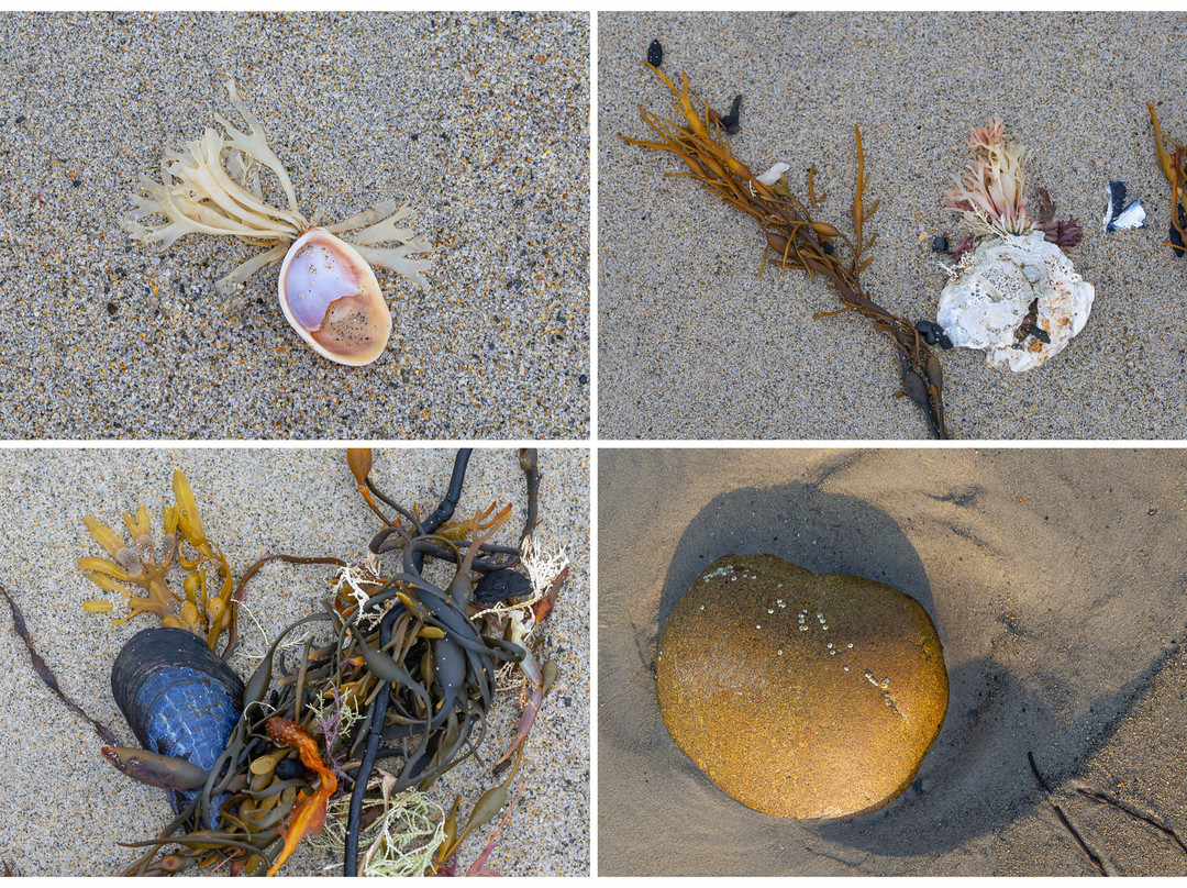 Parsons Beach景点图片