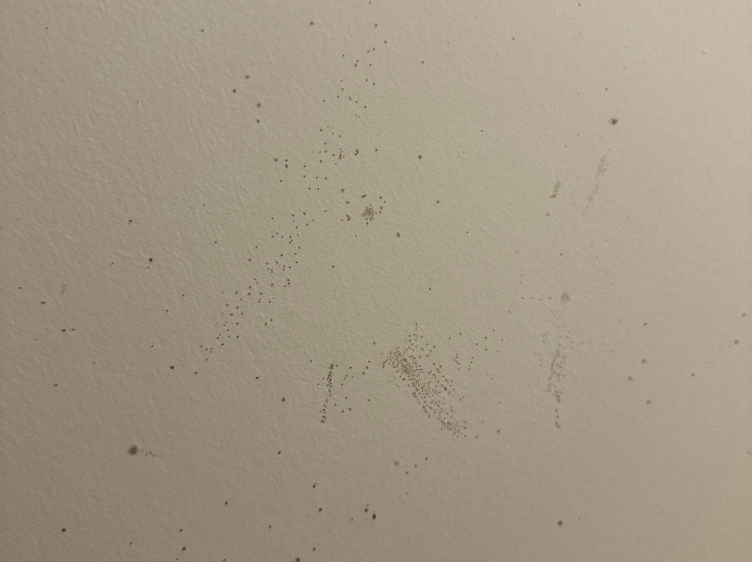 Charlevoix Inn & Suites SureStay Collection by Best Western主图