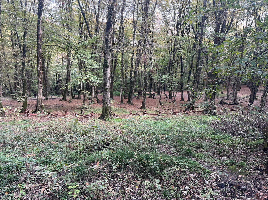 Alangdarreh Jungle景点图片