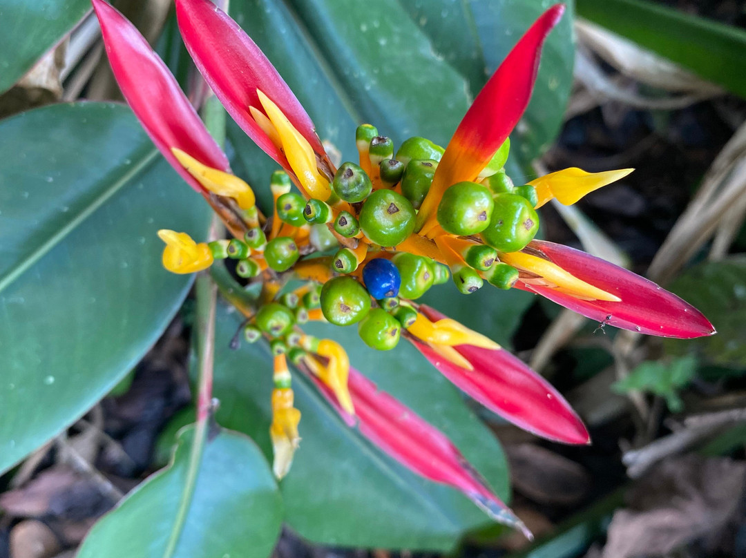 Oro y Luna Lodge主图