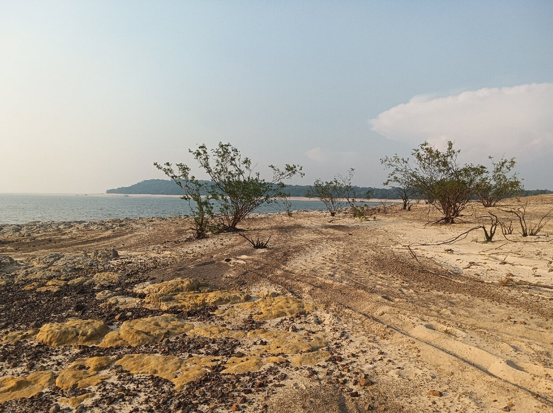 Ponta do Cururu-Alter do Chao必去景点