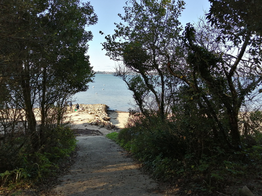 Randonnée Pédestre Sur L'ile Aux Moines