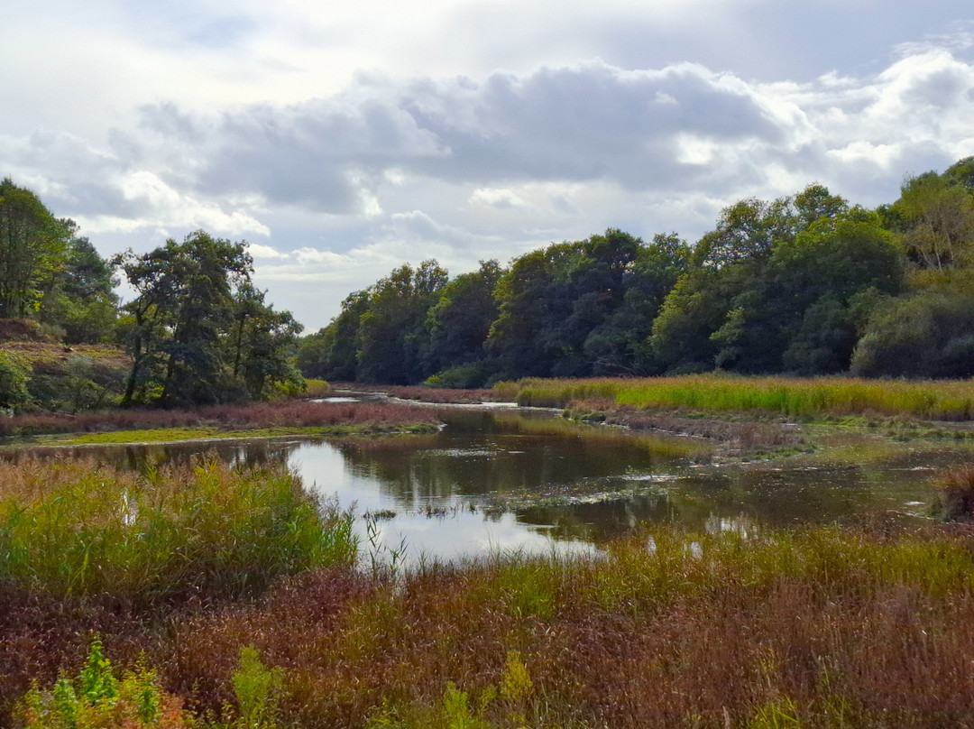 Promenades Et Randonnées À Nostang-Nostang必去景点