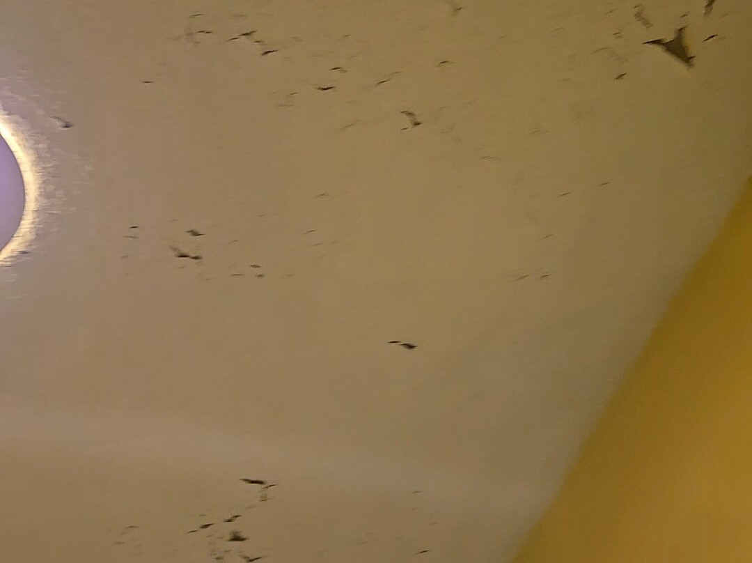 Baymont by Wyndham Springfield主图