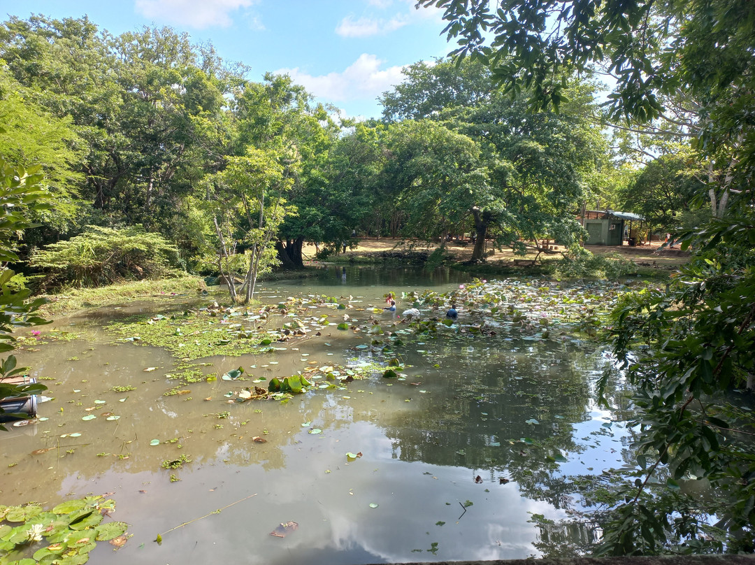 Sigiriya Museum景点图片