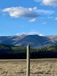 Lost Moose Meadows Campground景点图片