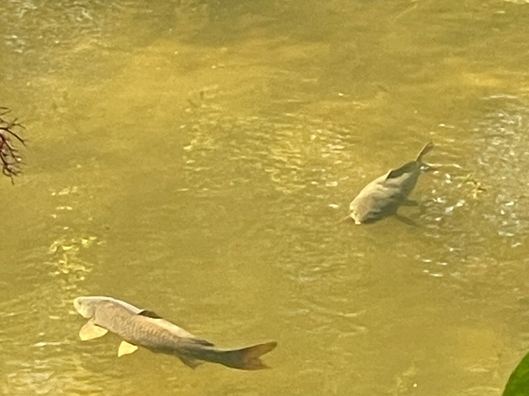 Humiston Woods Nature Center-Pontiac必去景点