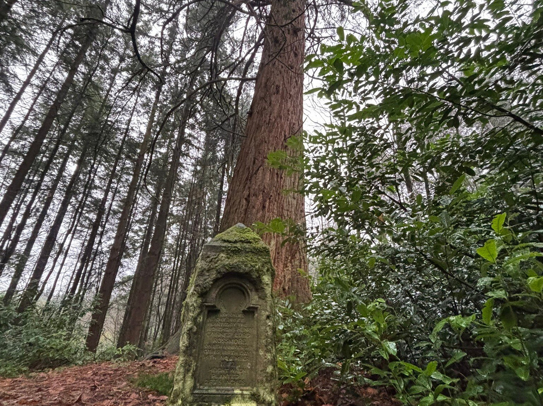 Rossmore Forest Park, Monaghan-Monaghan必去景点