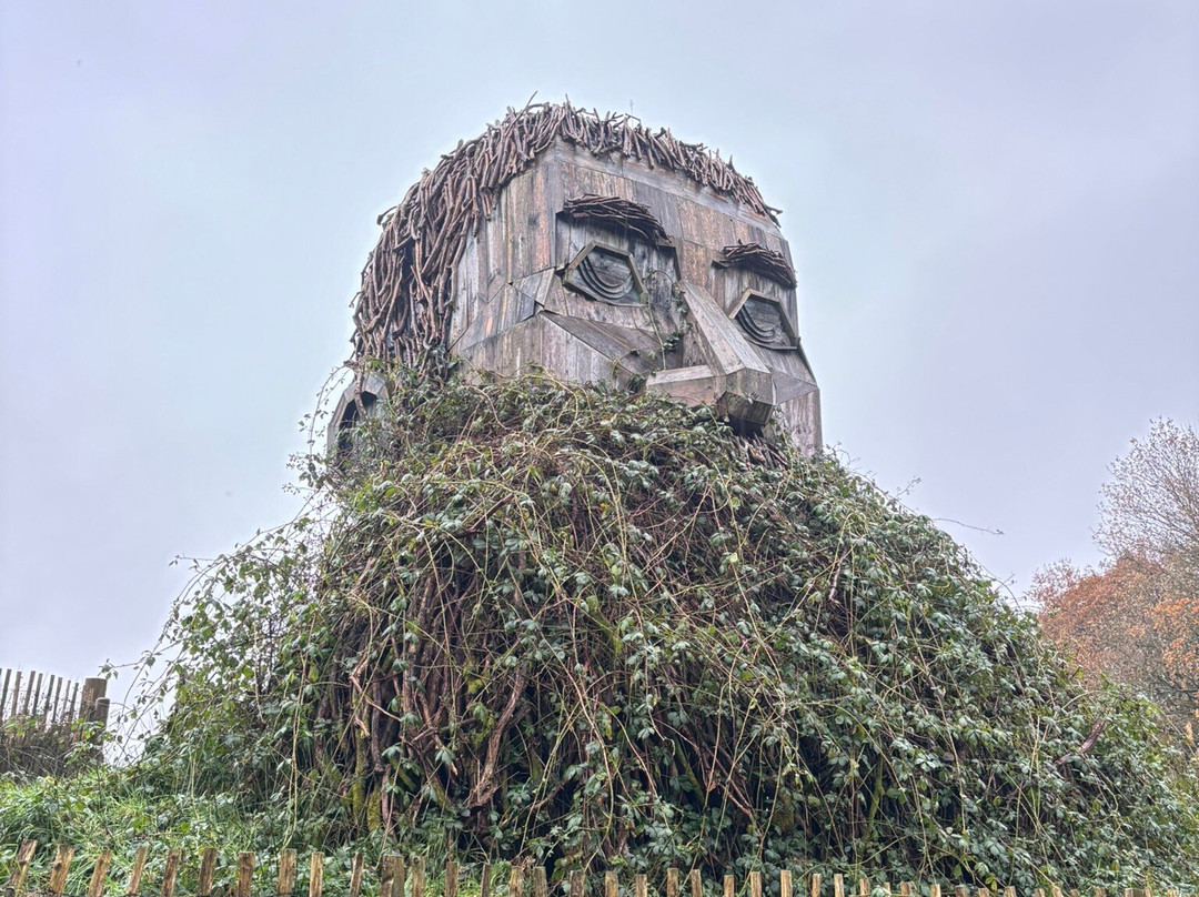 Rossmore Forest Park, Monaghan-Monaghan必去景点