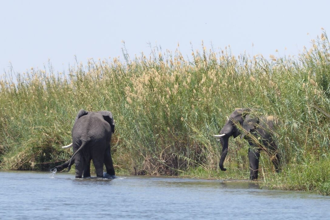 Okavango River景点图片