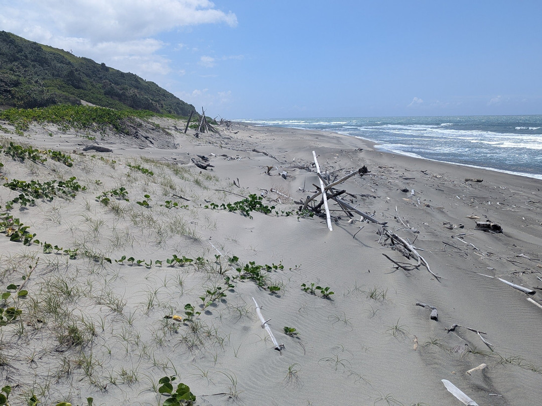 Sigatoka Sand Dunes National Park景点图片