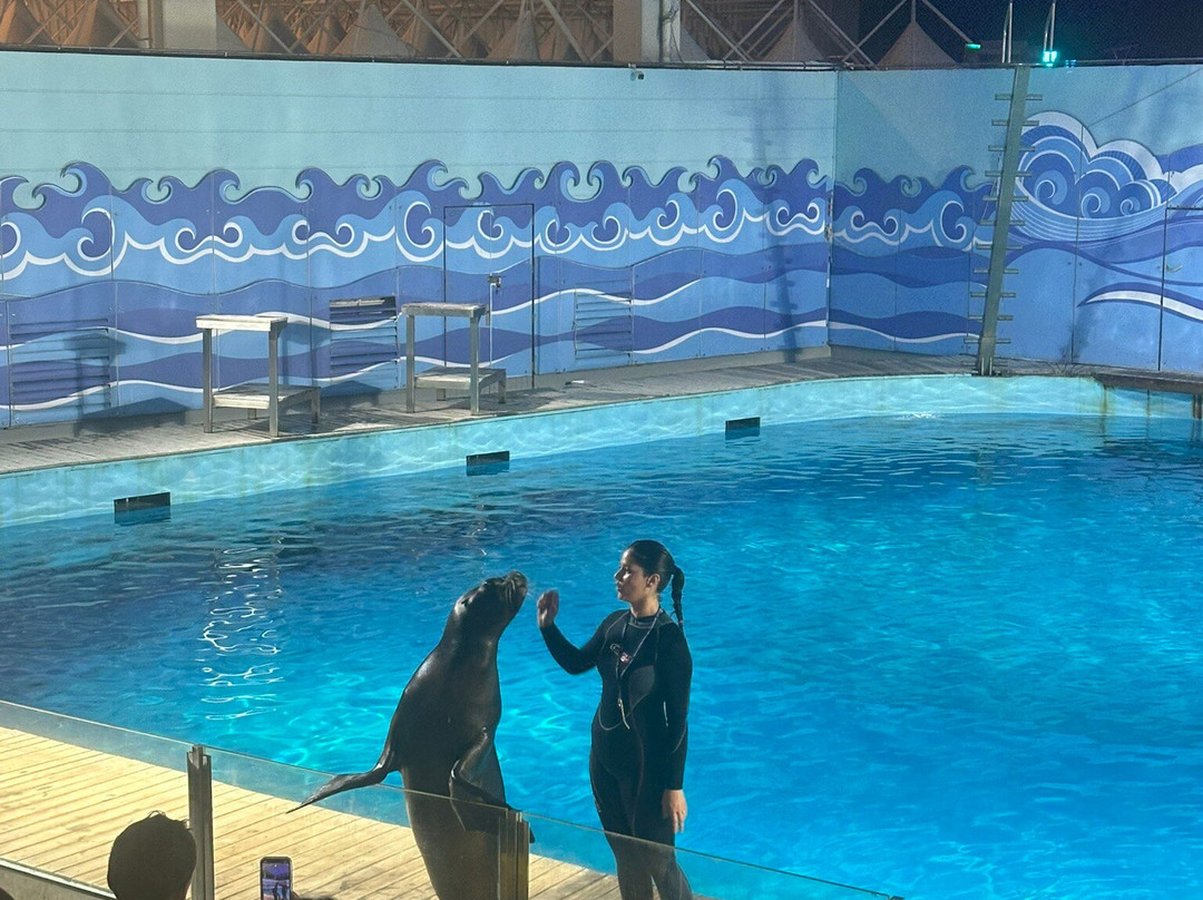 Fakieh Aquarium-吉达必去景点