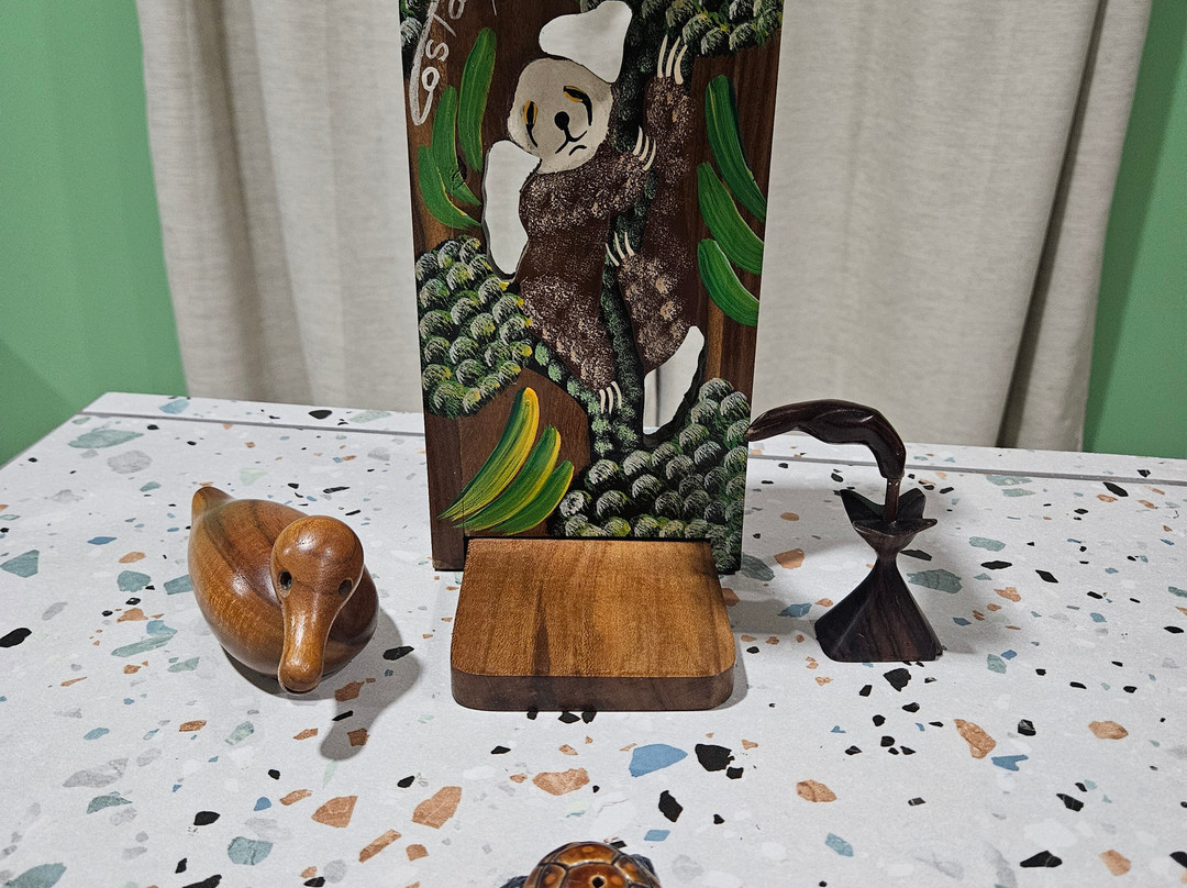 Souvenir Leo-福德圣卡洛斯必去景点