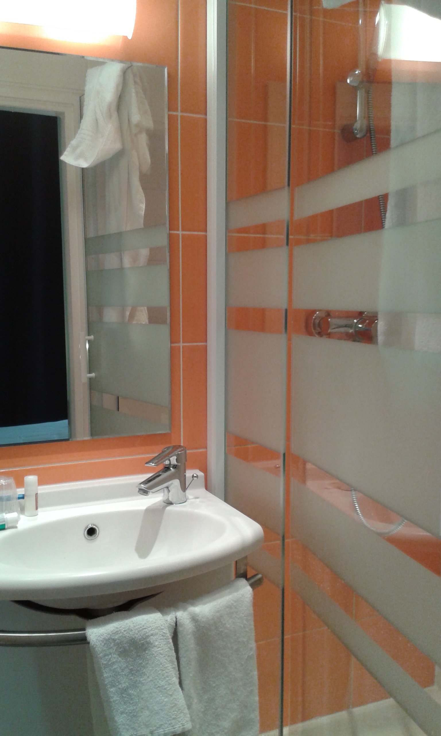 Ibis Styles Mâcon Centre-浴室