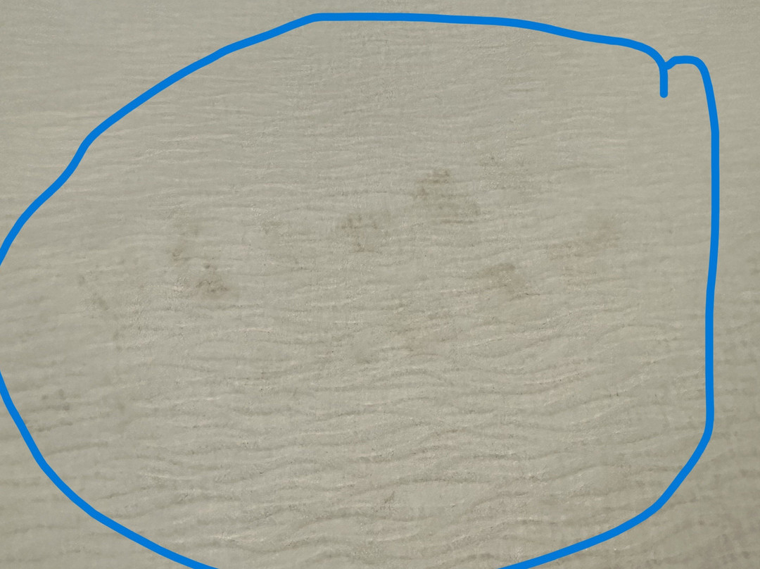 Best Western London Airport Inn & Suites主图