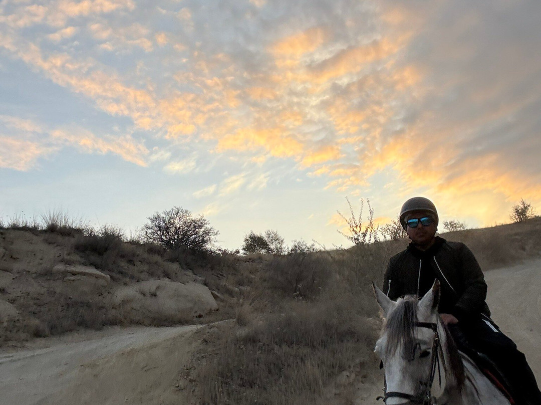 Moonlight Horse Ranch景点图片