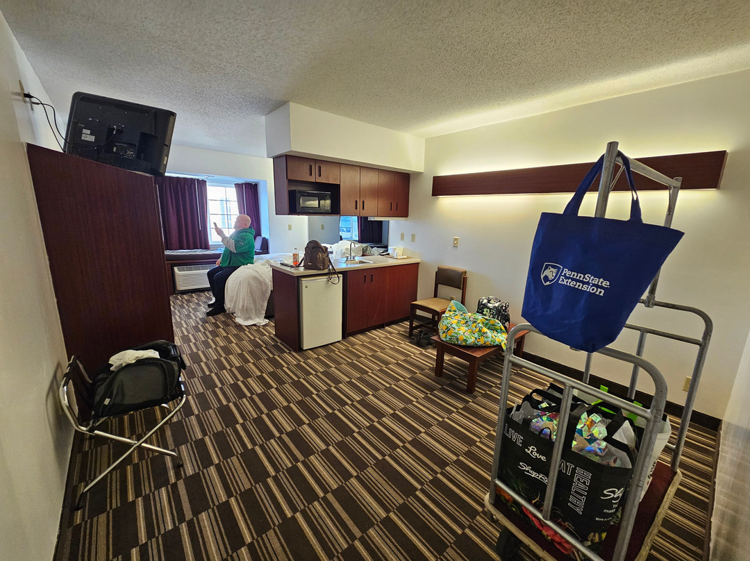Microtel Inn & Suites by Wyndham Hamburg主图