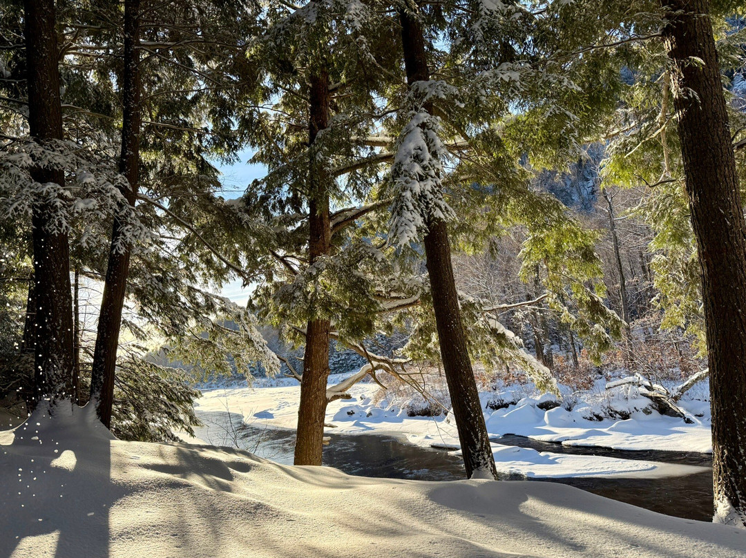 Whiteface Farm Adirondack Bed and Breakfast主图