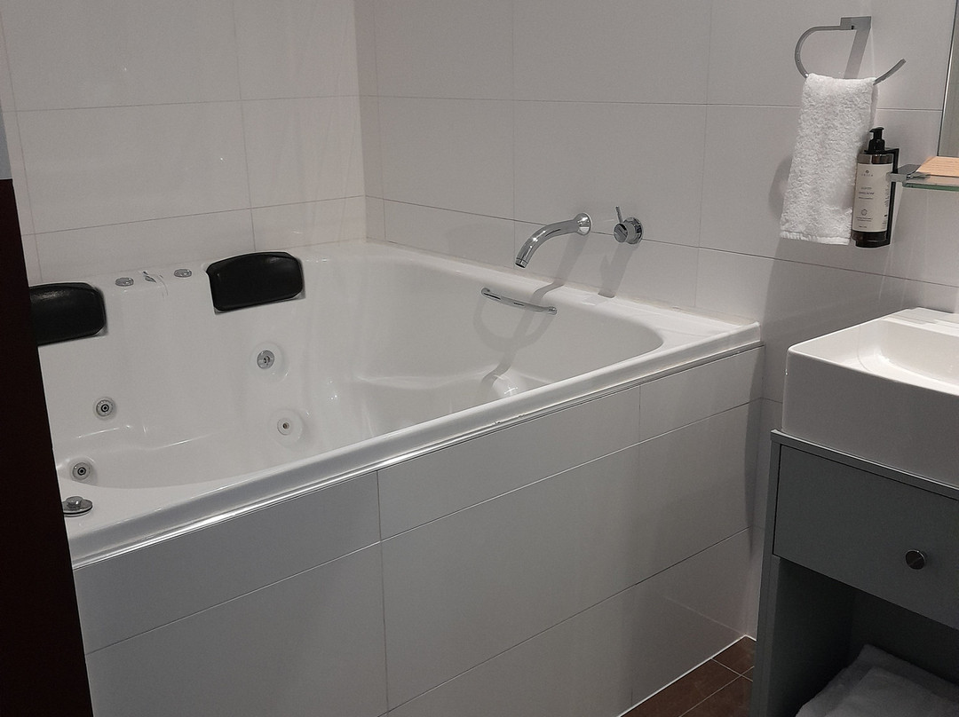 温德姆欧南珀斯酒店主图