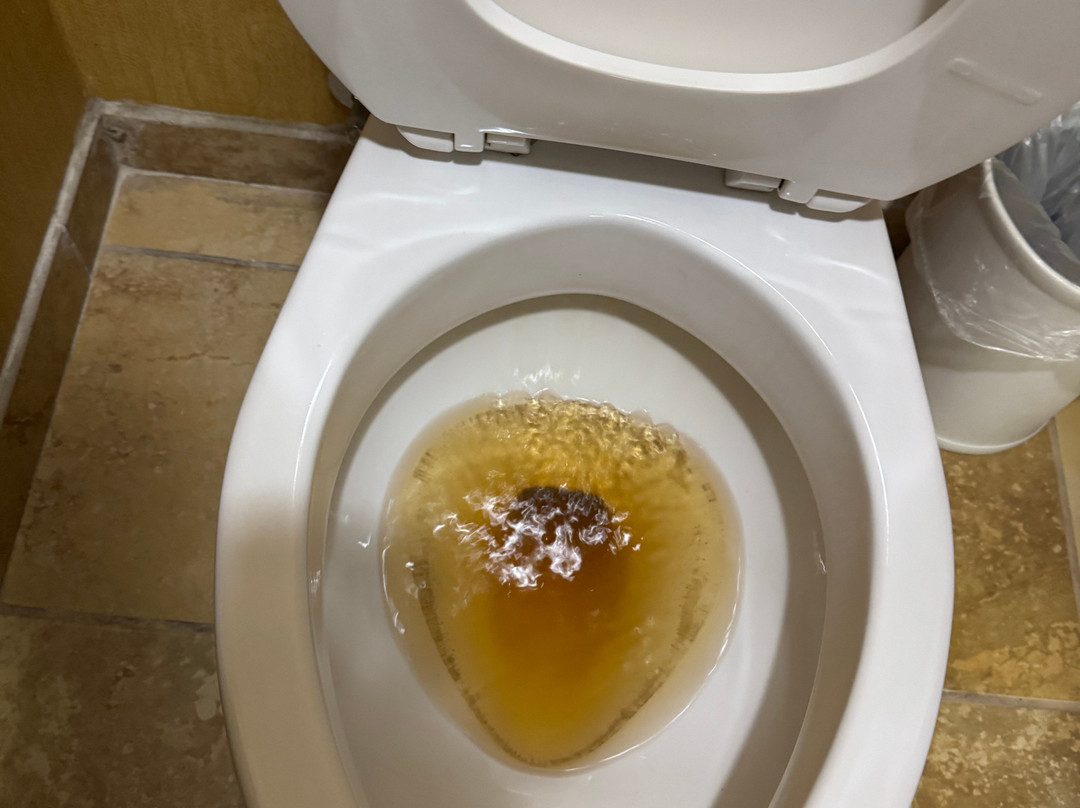 Hampton Inn & Suites Grenada主图