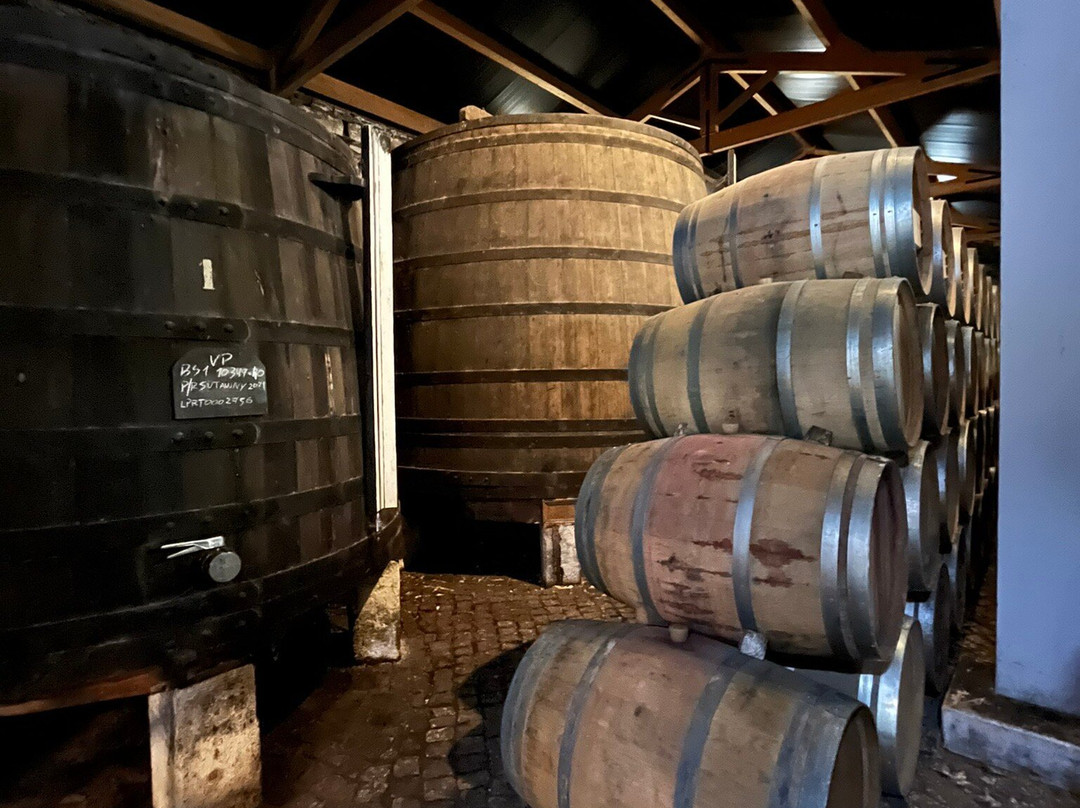 Quinta de S. Luíz-Tabuaco必去景点