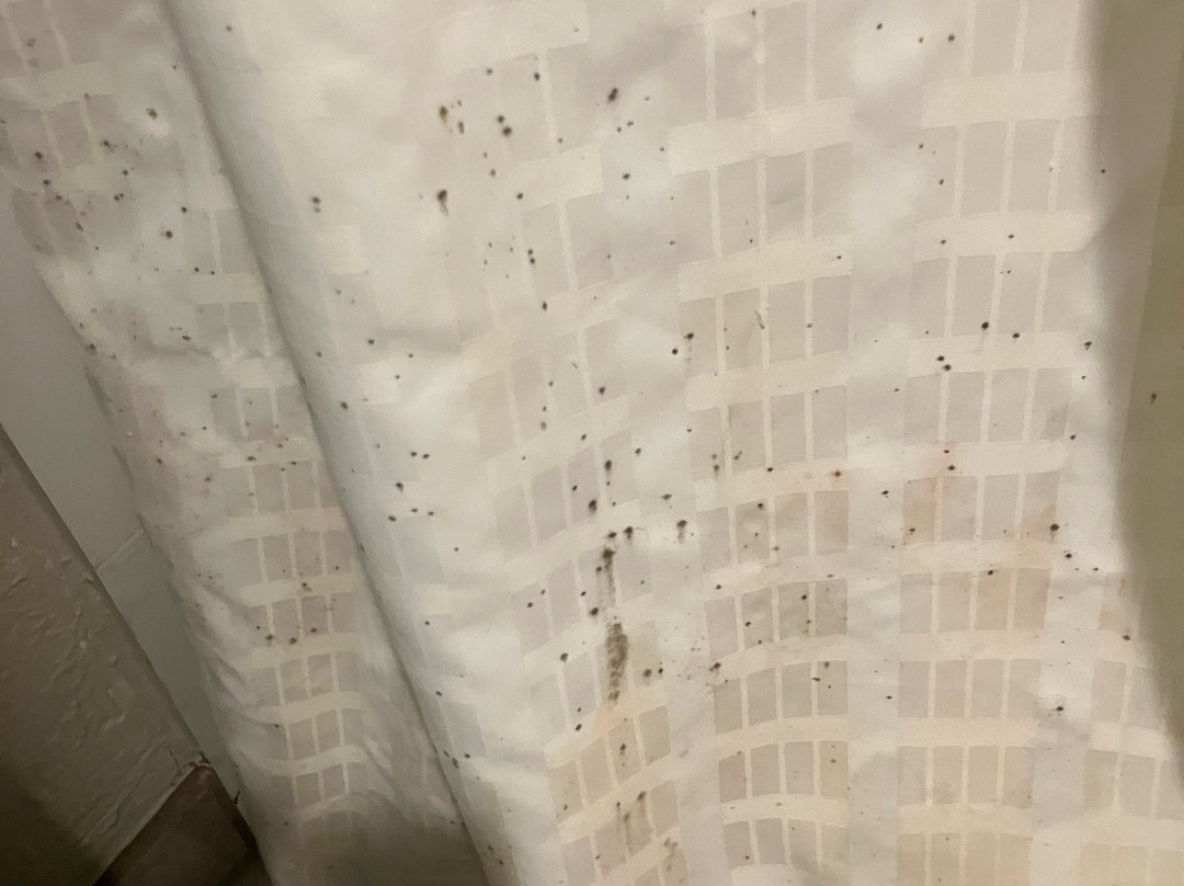 Days Inn by Wyndham Sulphur West主图