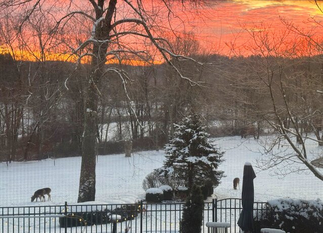 Welsh Hills Inn主图