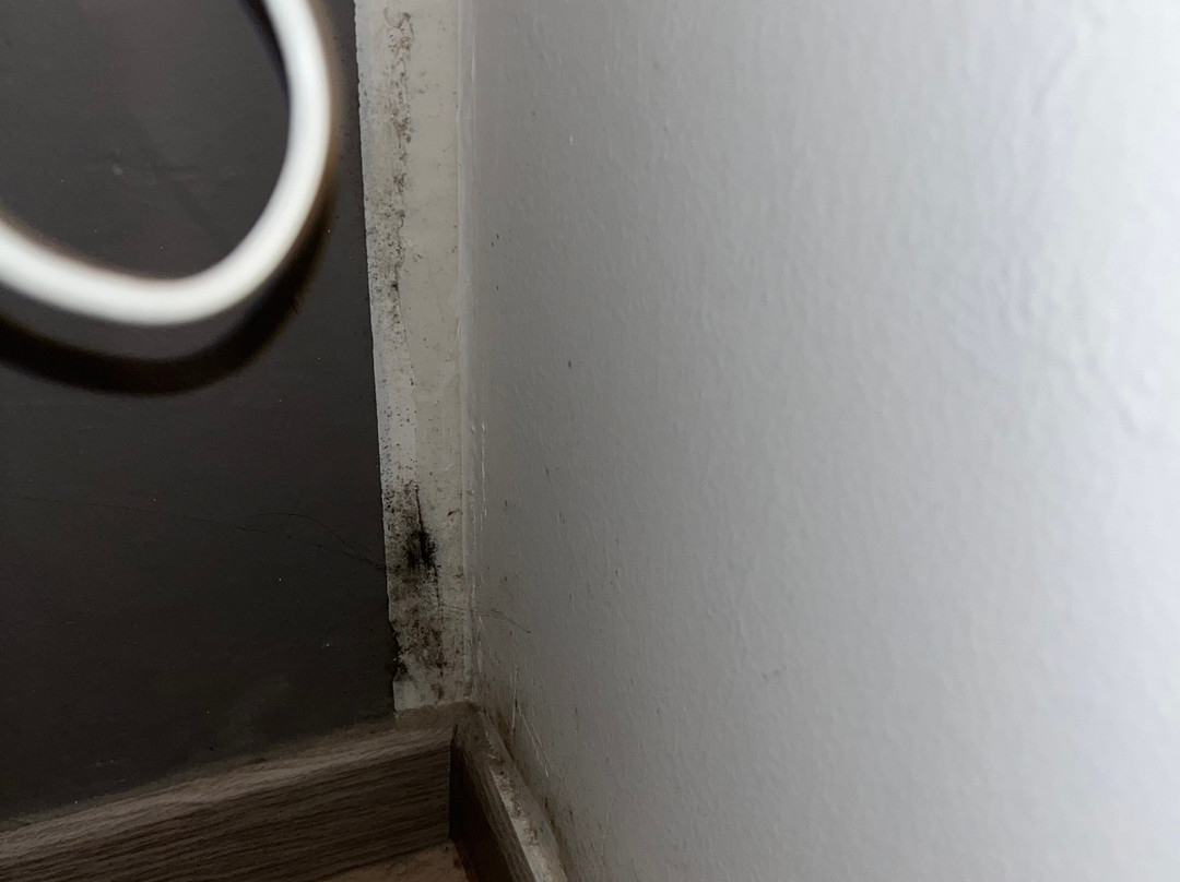 艾尔伯格帕拉堤索苏拉戈酒店主图