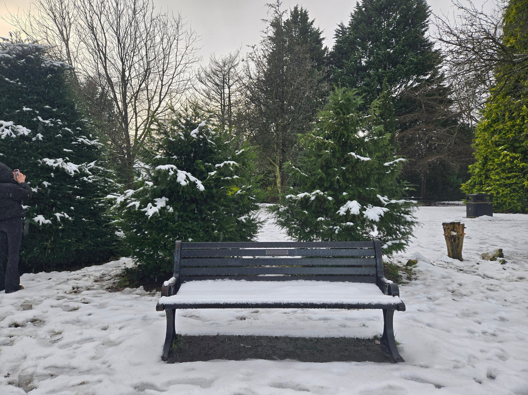 Reynolds Park-利物浦必去景点